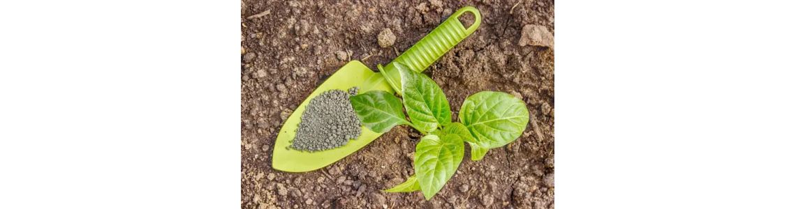 Диаммонийфосфат: основные свойства, способы применения в промышленности и с/х