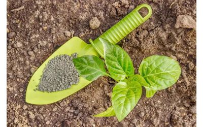 Діамонійфосфат: основні властивості, способи застосування в промисловості та с/г