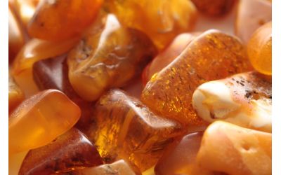 Бурштинова кислота для рослин