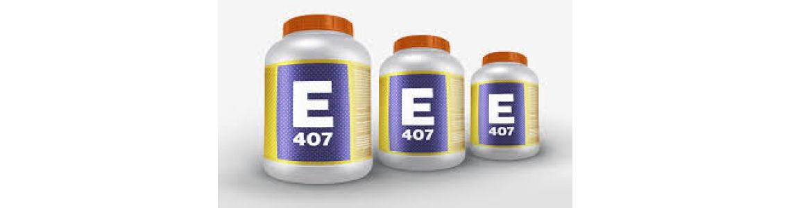 Каррагинан: пищевая добавка Е407, ее свойства и сферы применения Каррагинан: пищевая добавка Е407, ее свойства и сферы применения