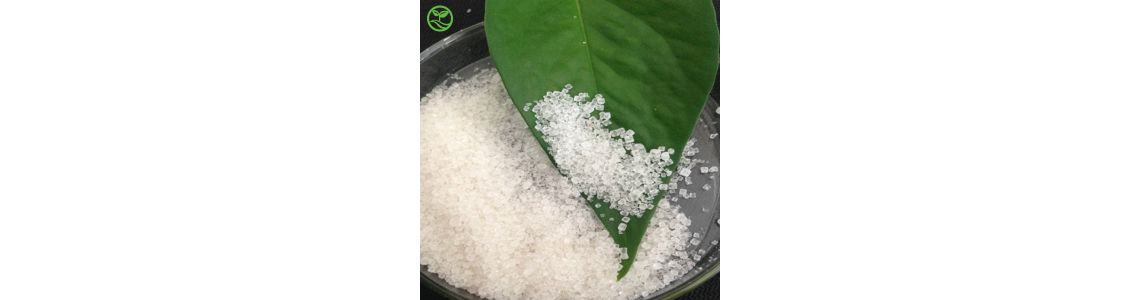 Особливості використання сульфат амонію як добрива