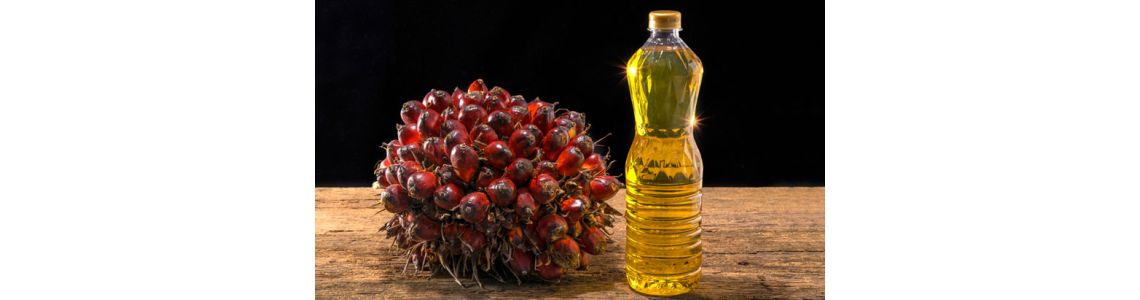 Пальмовое масло: вредно или нет?