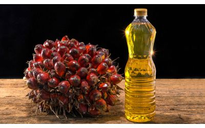 Пальмовое масло: вредно или нет?