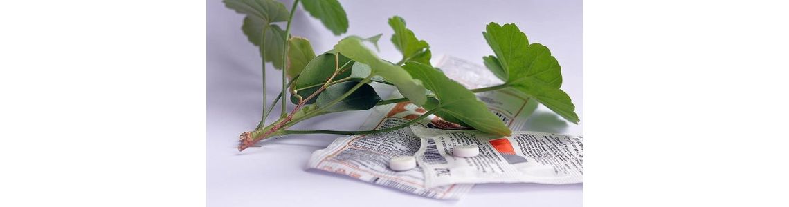 Янтарная кислота: польза, вред и основные сферы применения