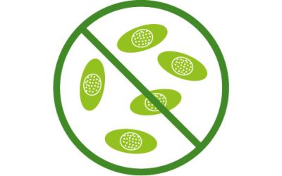 Использование кокцидиостатиков как кормовых добавок