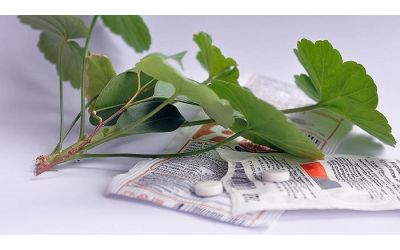 Янтарная кислота: польза, вред и основные сферы применения