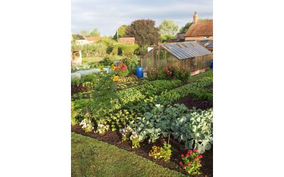 Захист рослин для початківців: весняна обробка саду