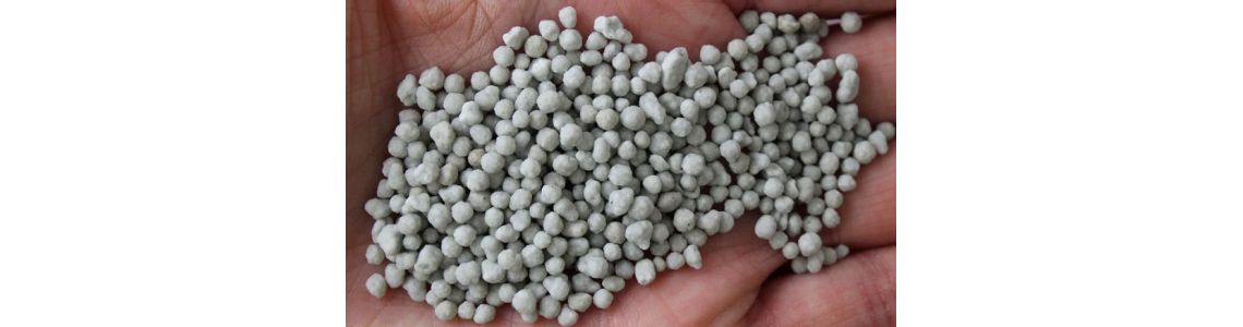 Значення використання сірки для підживлення лохини