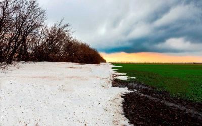 Удобрения для садовых и огородных культур, которые необходимо вносить весной