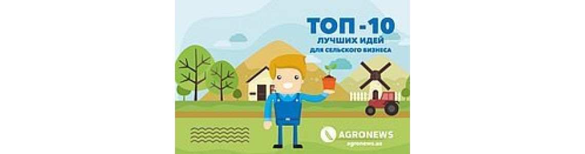 ТОП - 10 самых популярных идей для сельского бизнеса