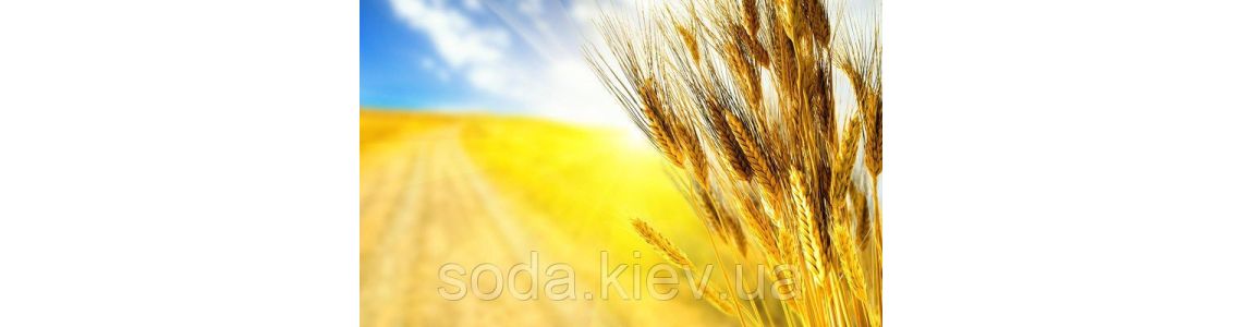 У сільському господарстві кількість робочих місць збільшиться до 1 млн.