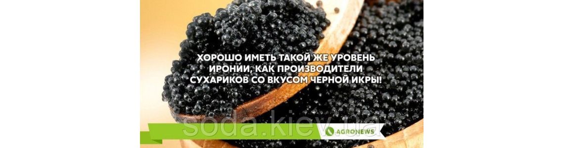 Безопасность пищевых продуктов.Что нужно знать, чтобы не навредить здоровью Безопасность пищевых продуктов.Что нужно знать, чтобы не навредить здоровью