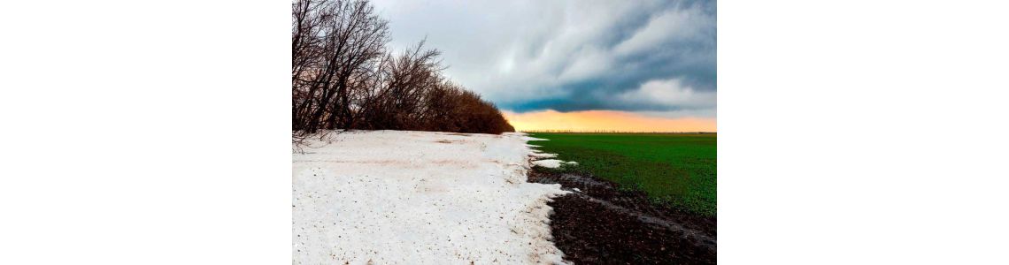 Добрива для садових та городніх культур, які потрібно вносити навесні