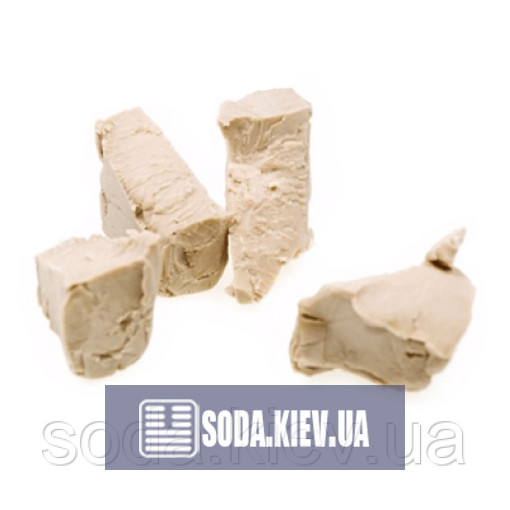 Дрожжи Дрожжи