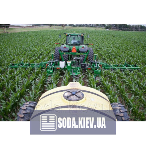 Хелат заліза