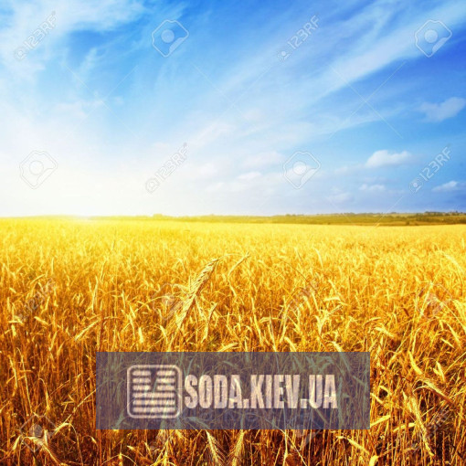 Хелат заліза