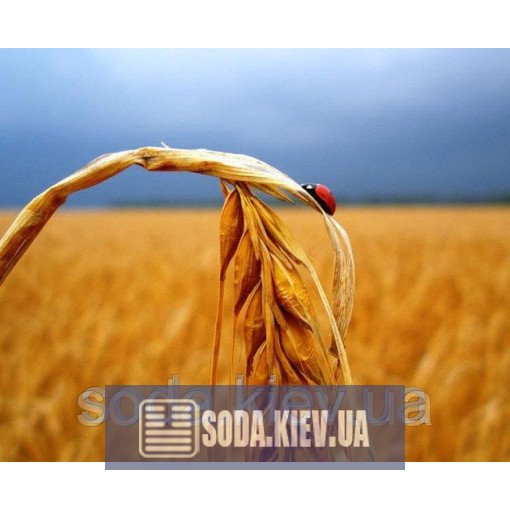 Удобрения Удобрения