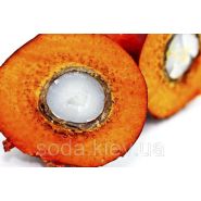 Пальмоядровое масло Пальмоядровое масло