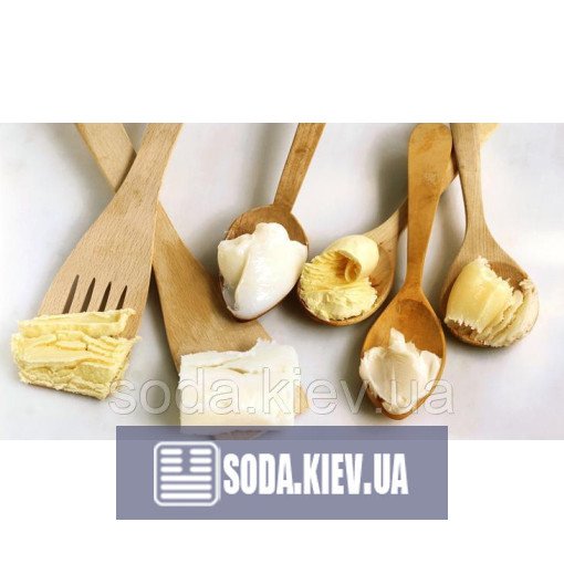 Замінник молочного жиру