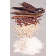 Камедь рожкового дерева