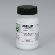 Аммония молибдат Аммония молибдат