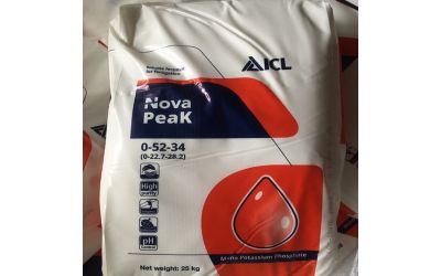 Комплексные удобрения для подкормки деревьев и кустарников