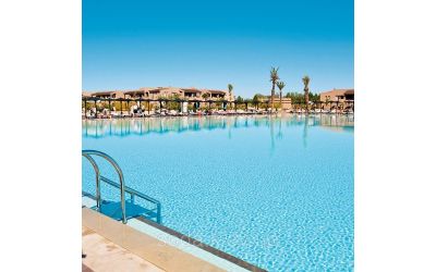 Как понизить уровень ph в бассейне?