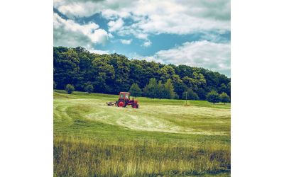 Весенняя подкормка плодовых растений: когда, чем и как обрабатывать