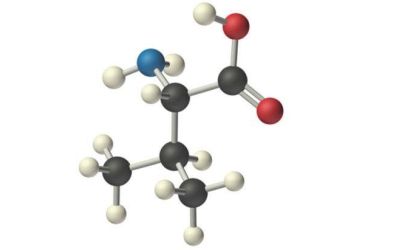Валин, лейцин, изолейцин BCAA